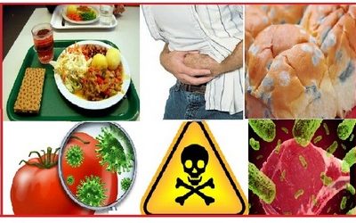 Journée de Sensibilisation à la Prévention des Intoxications Alimentaires